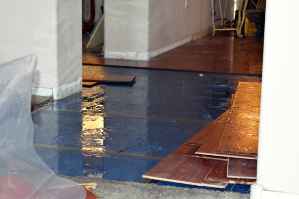 Professional Emergency Water Damage Restoration technician working in Otisville, MI